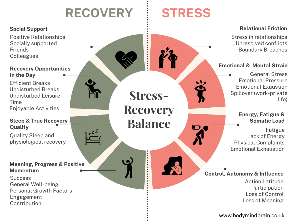 This is a graphic showing the domains typically covered in a stress and recovery psychology for perforamance approach 